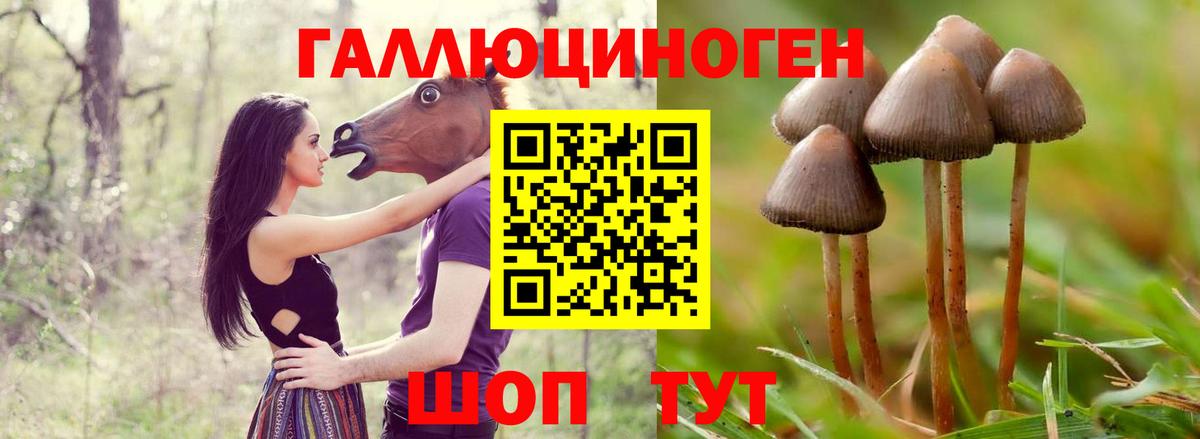 Псилоцибиновые грибы мицелий Зеленодольск